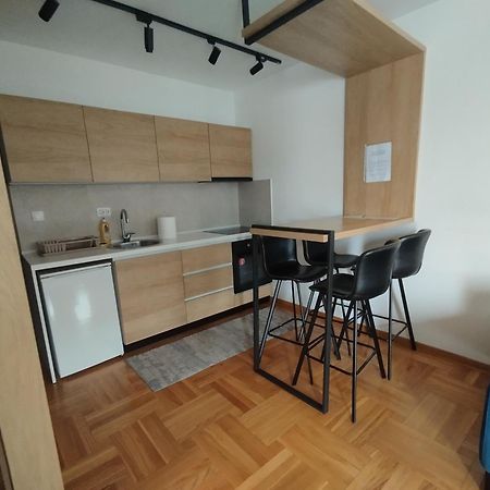 Апартаменти Cvetkovic LUX Аpartmani&Free GARAŽA Врнячка-Баня Номер фото